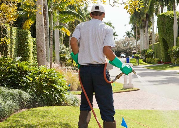 About Potts Grove PA Pest Control